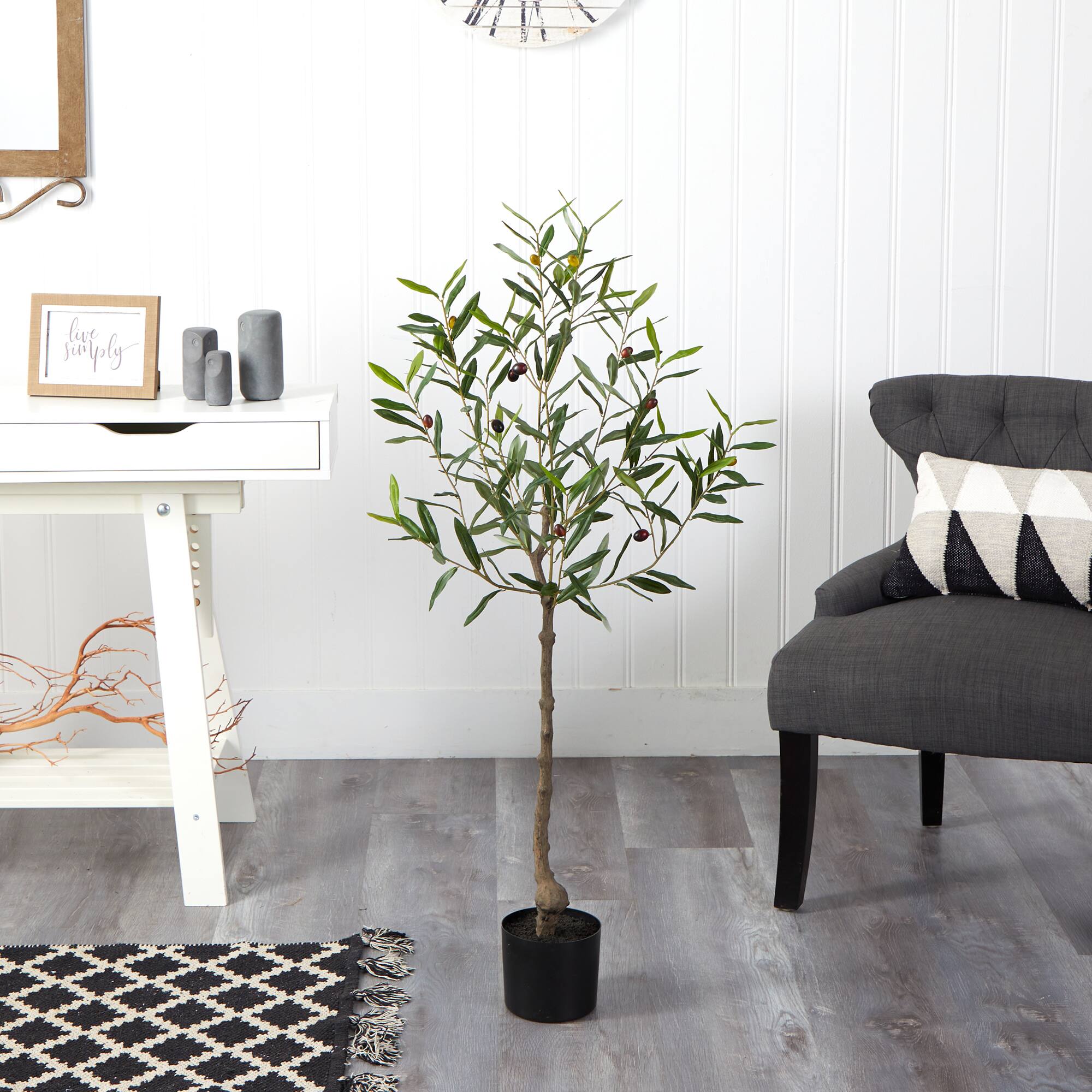 4ft. Potted Olive Tree